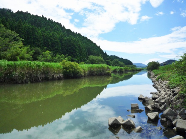 中筋川