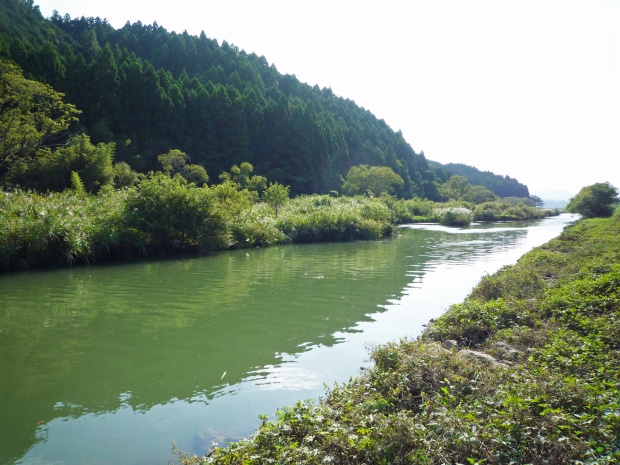 中筋川