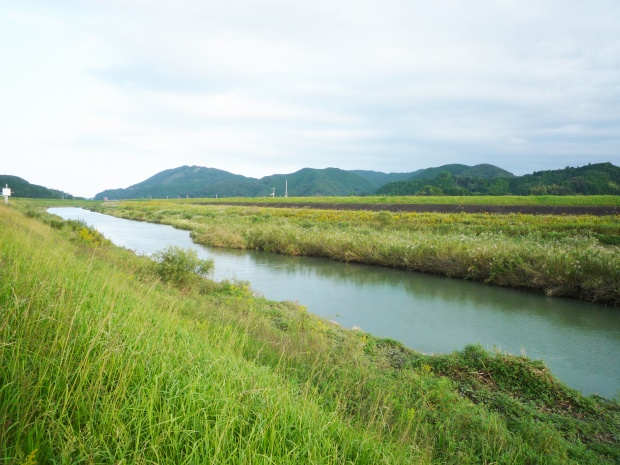 中筋川