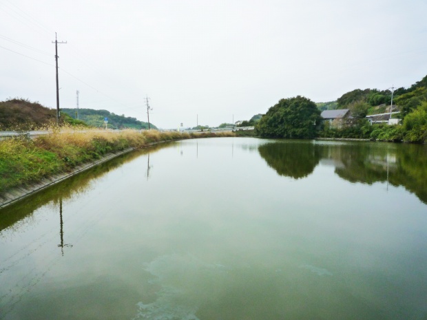 野池