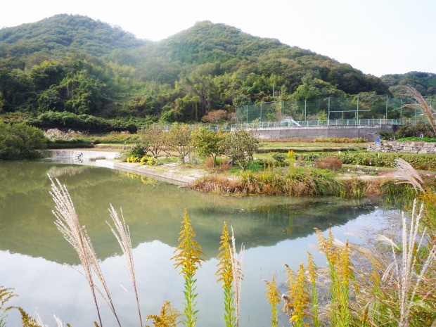 野池