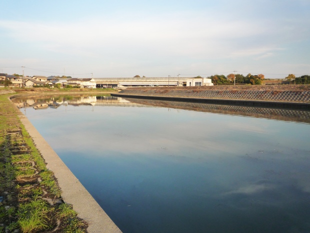 吉岡川