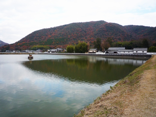 野池