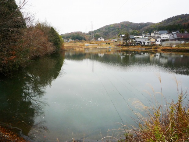 野池
