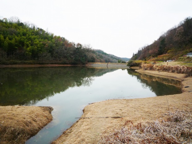 野池