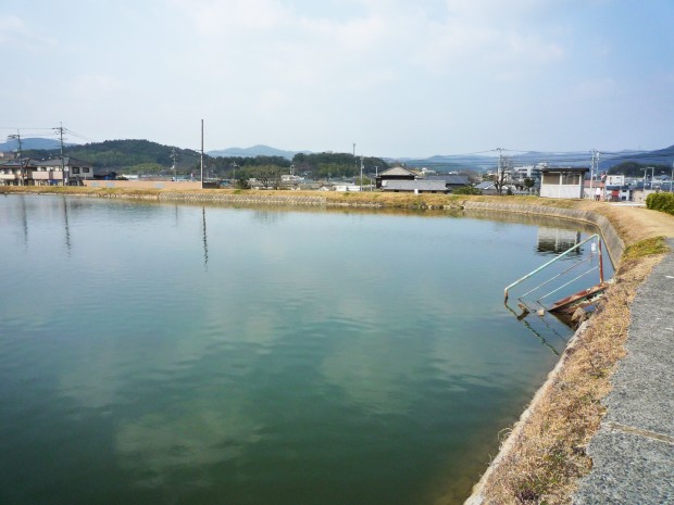 野池