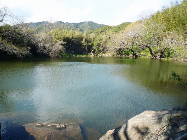 野池