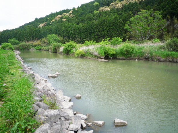 中筋川