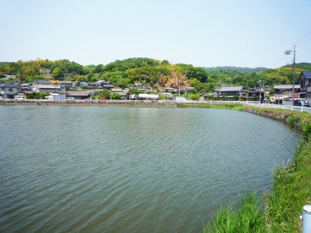 野池