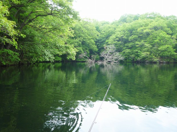 野池