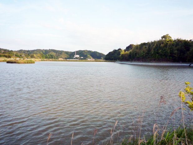 野池