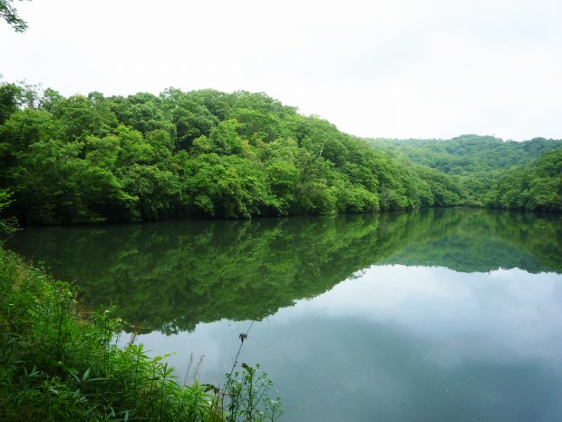 野池