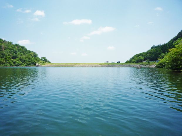 野池