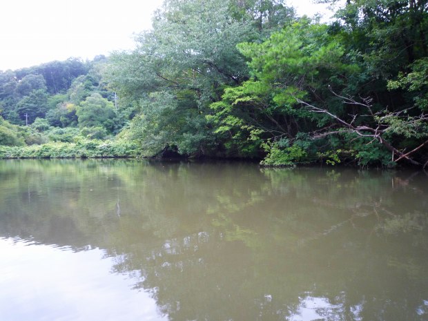 野池