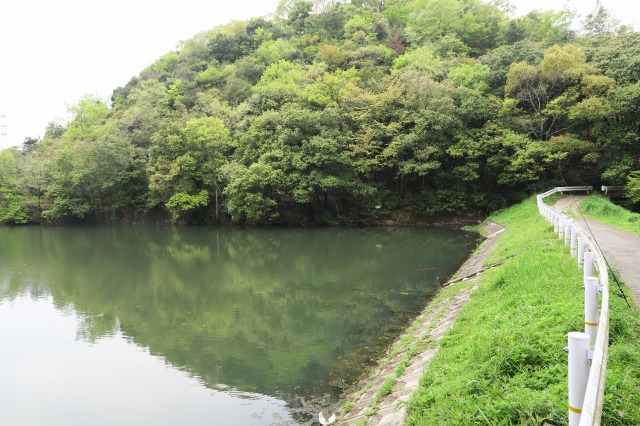 野池