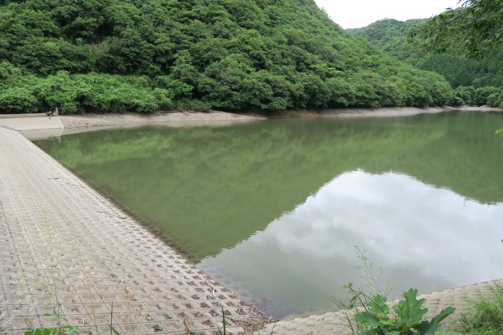 野池