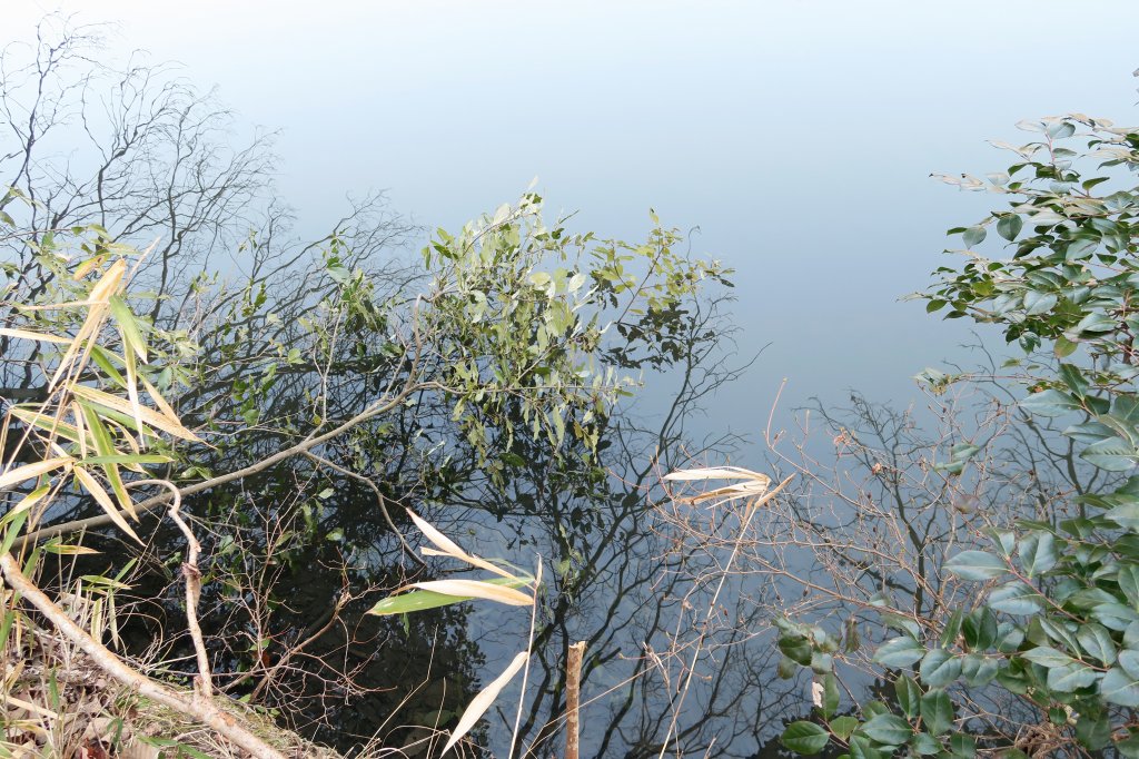 野池