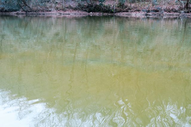 野池