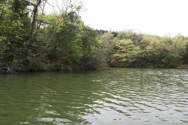 野池