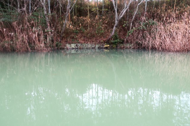 野池