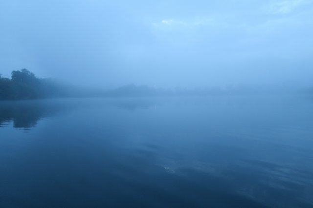 朝霧