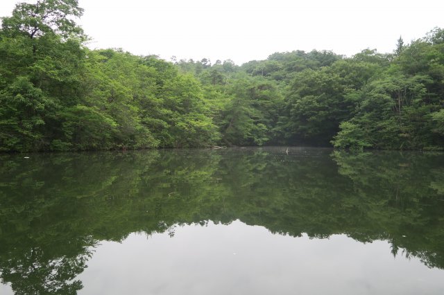野池