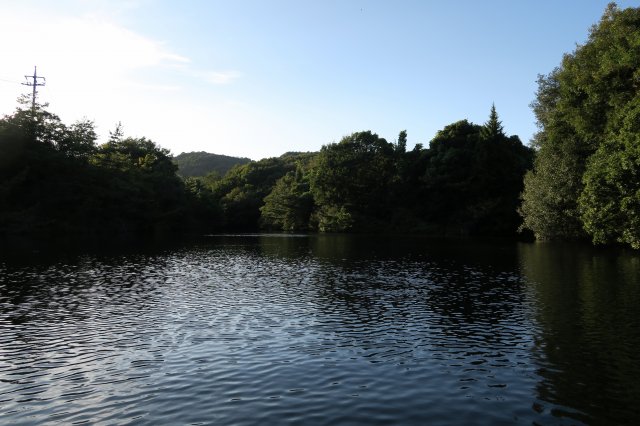 野池