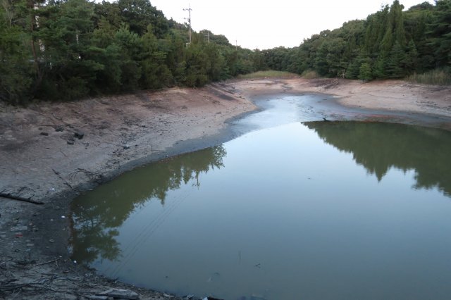 減水野池