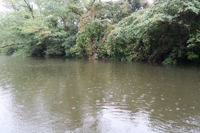 野池
