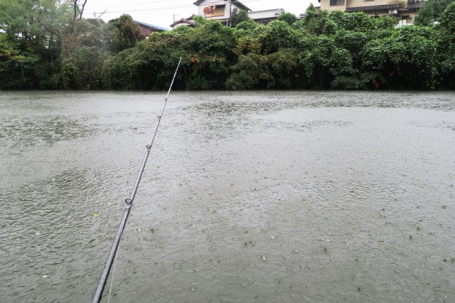 野池