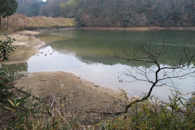 野池