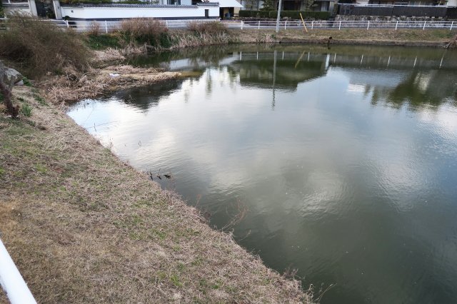 野池