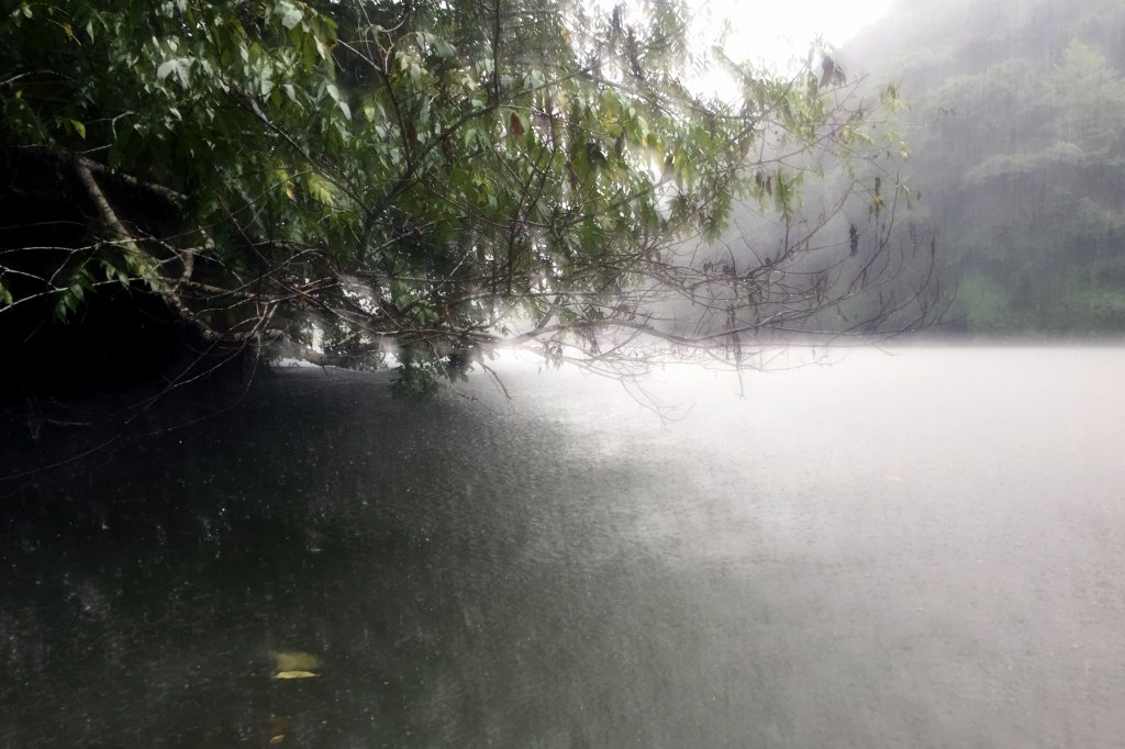 大雨の野池
