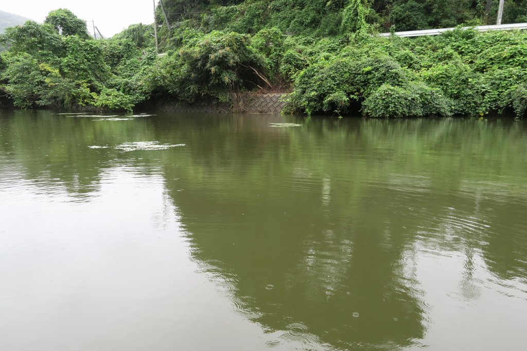 野池