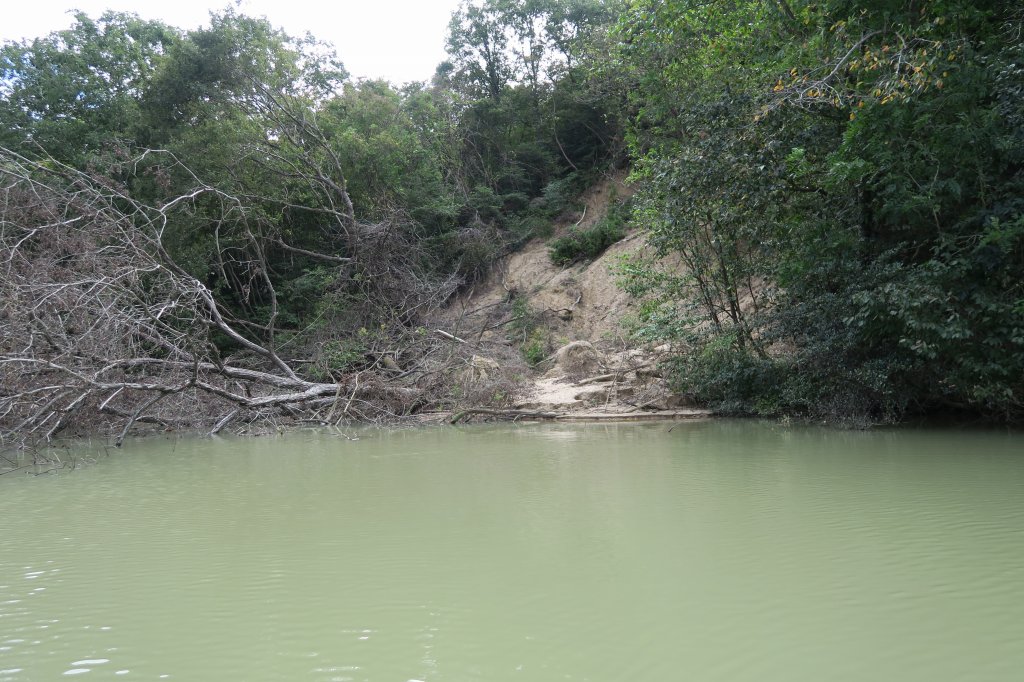 野池