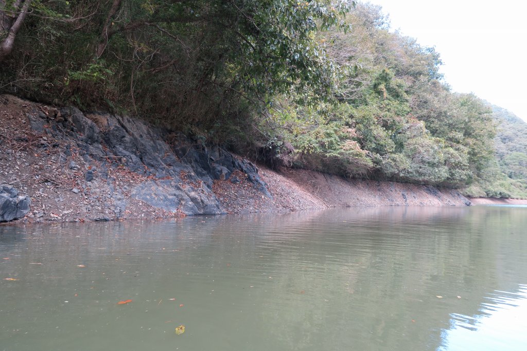 減水野池