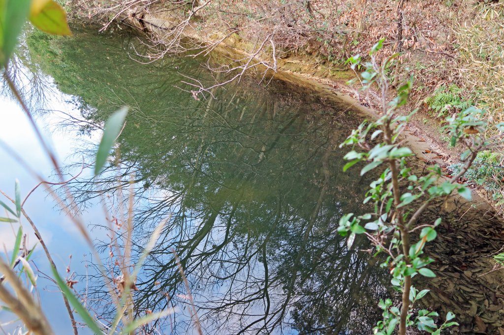 野池