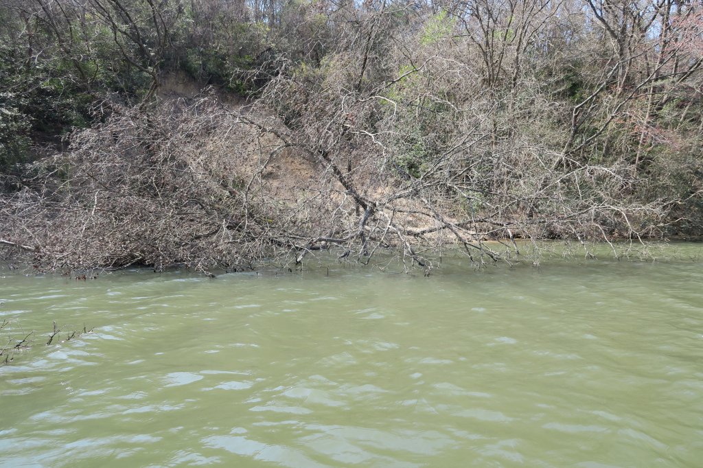 野池