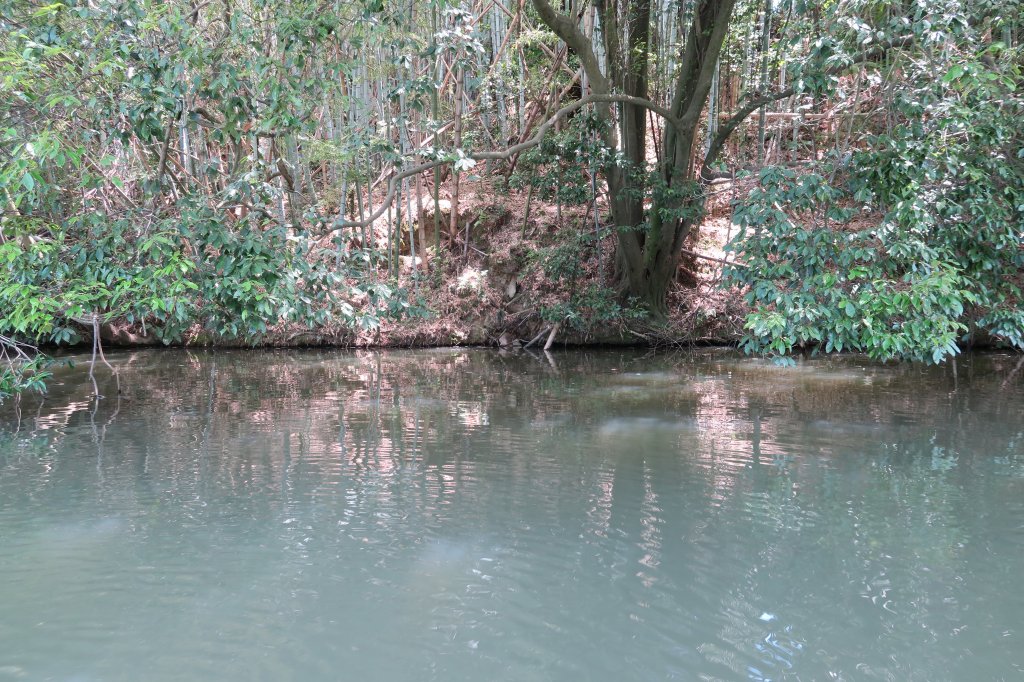 野池