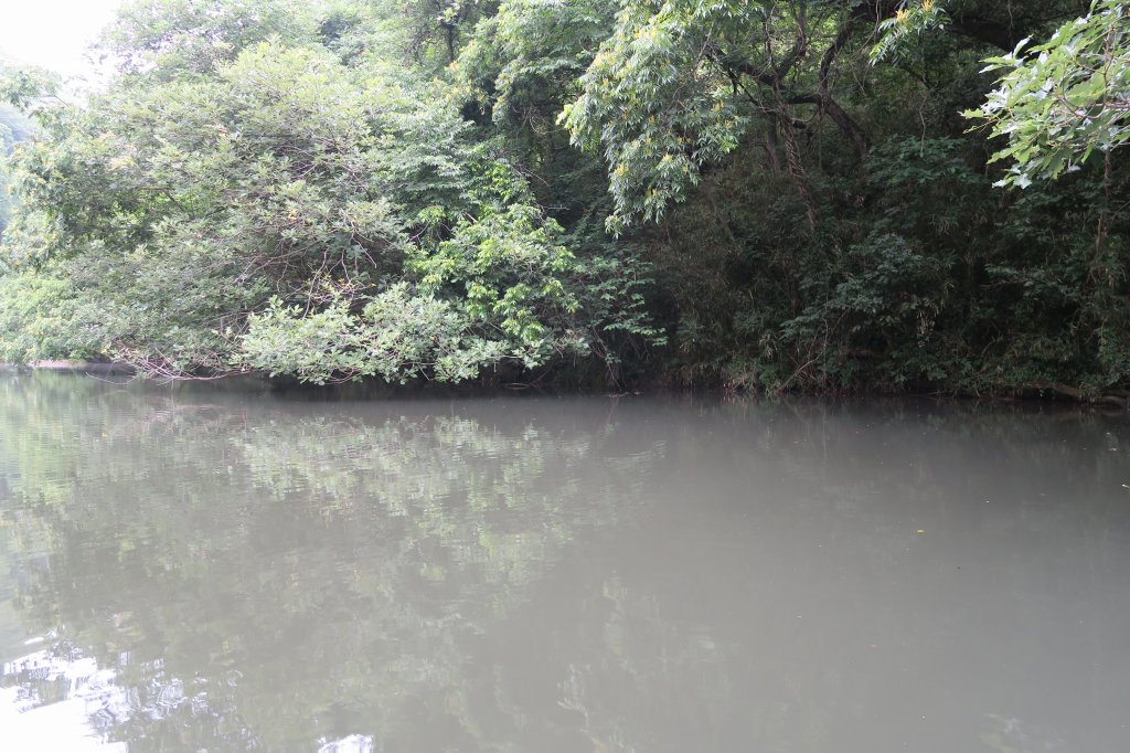 野池