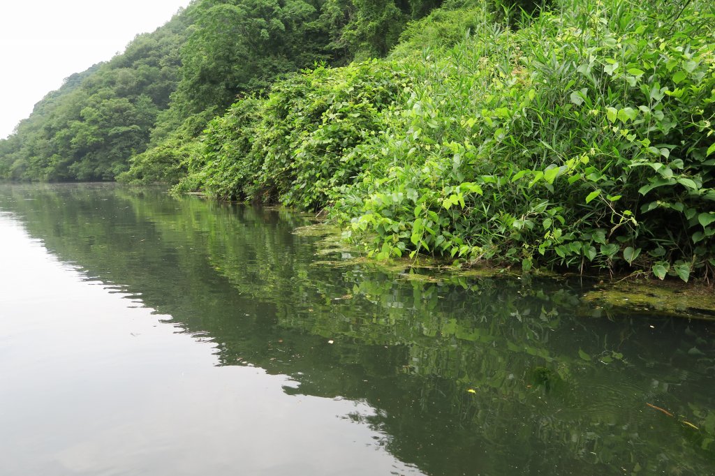 野池