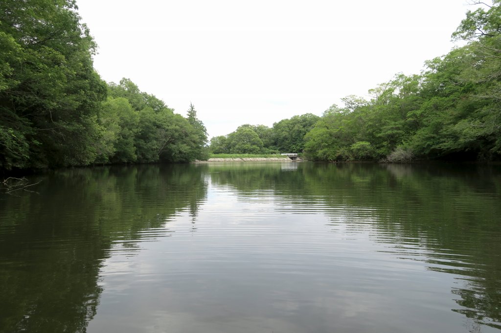野池