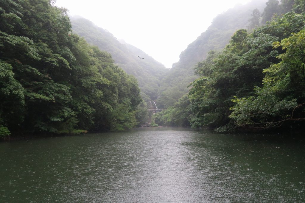 リザーバーの最上流