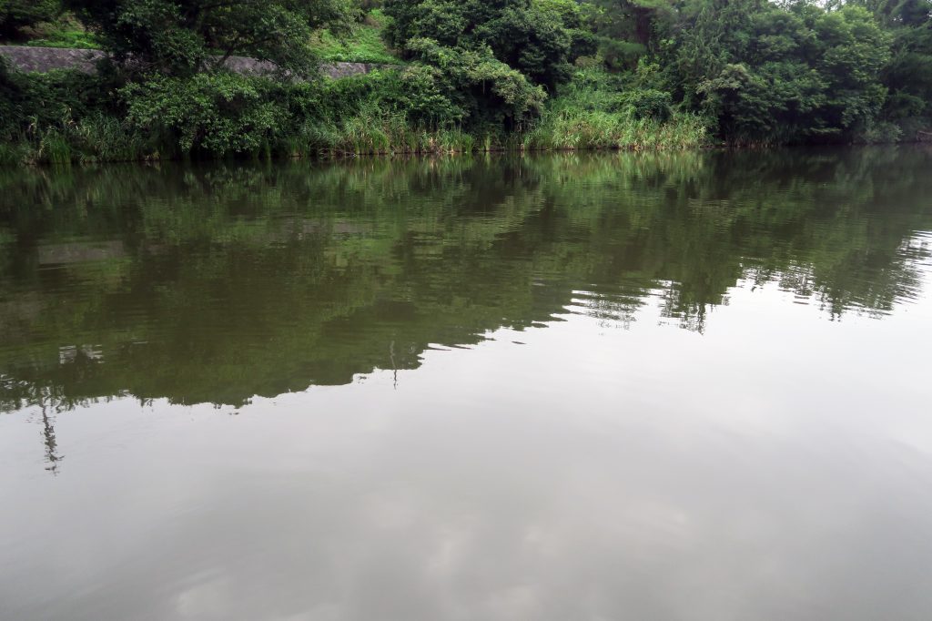 野池