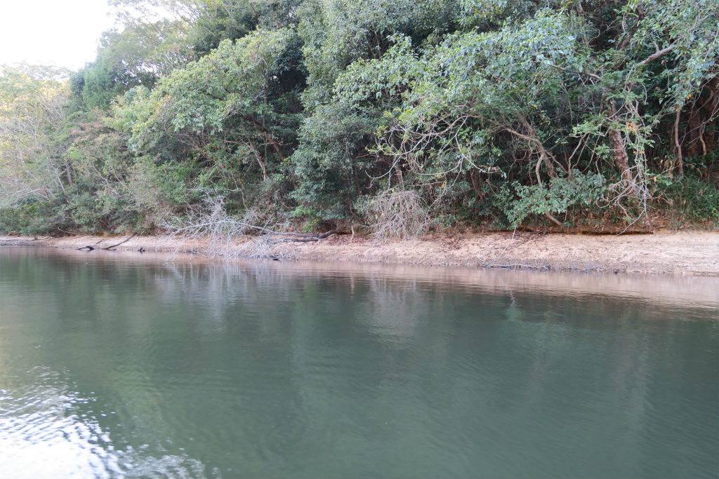 減水野池