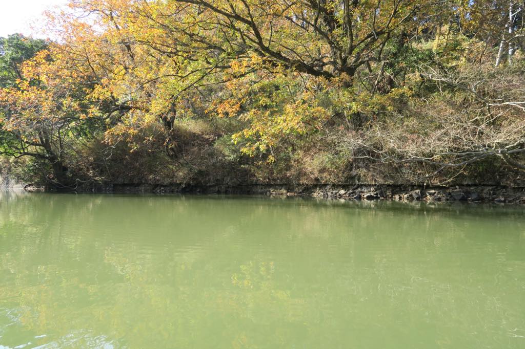 野池